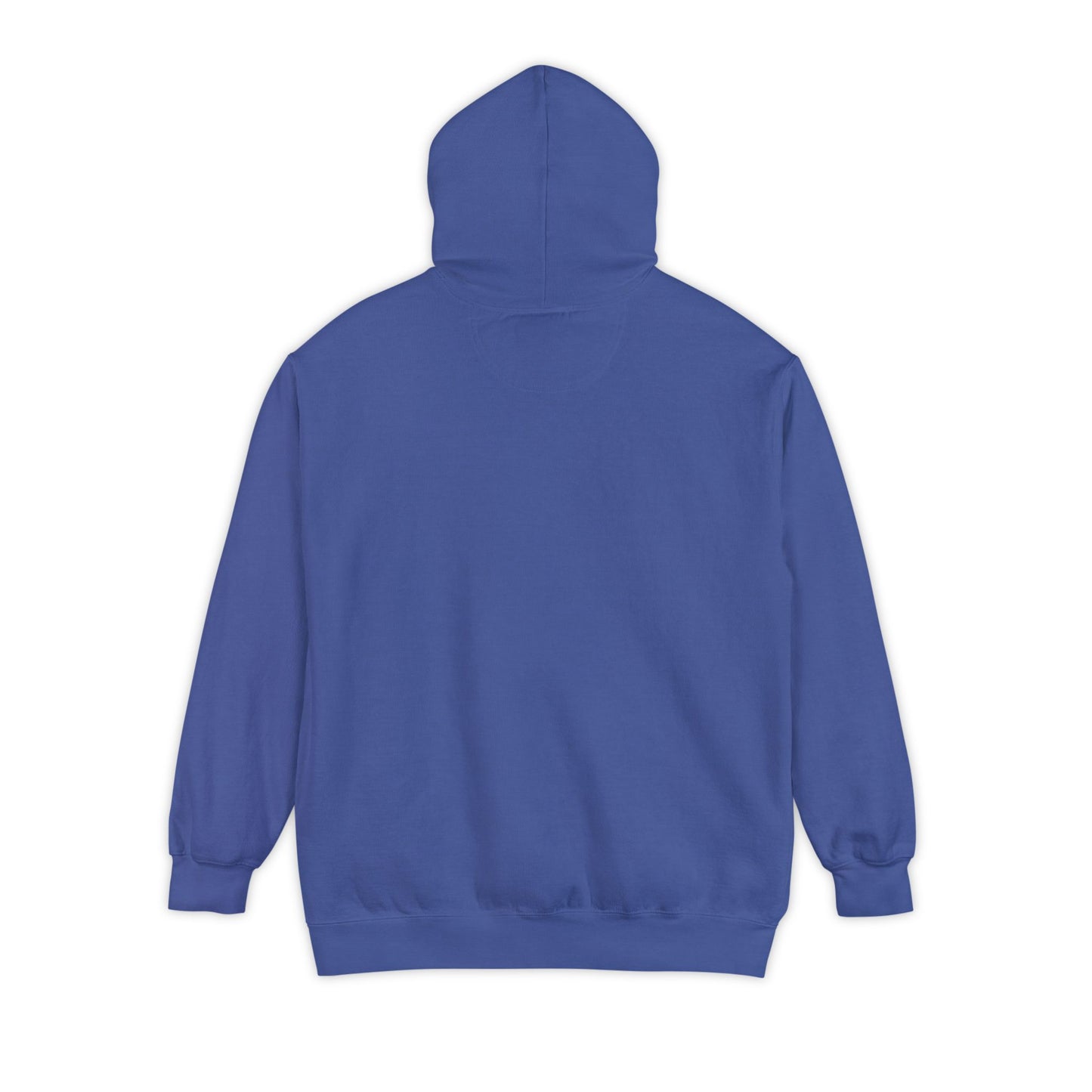 Unisex Comfort Colors Heartily Hoodie