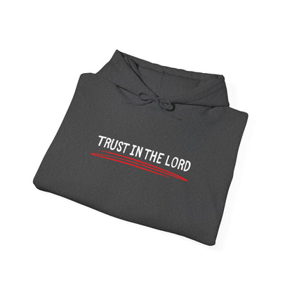 'Trust in the Lord' Hoodie Pullover